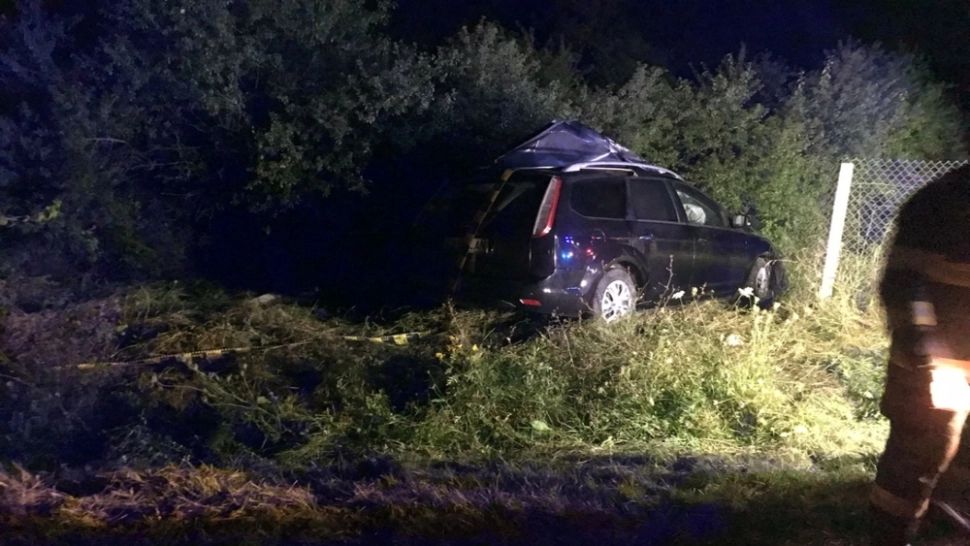 FOTO | Accident teribil, în Cluj. Şoferiţă grav rănită după ce un un cal lăsat nesupravegheat a izbit din plin mașina