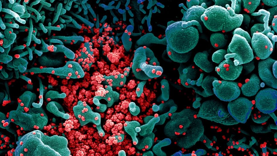 Vești proaste de la OMS. A apărut o nouă tulpină Covid-19: „Mu”