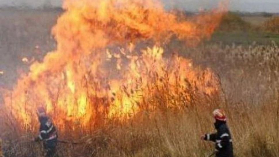 Incendiu VIOLENT la Poligonul Capu Midia, Constanța. Vegetaţie uscată MISTUITĂ de flăcări, în urma tragerilor antiaeriene