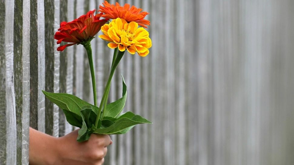 Cine te iubește în secret, în funcție de zodie. Horoscopul pasiunii