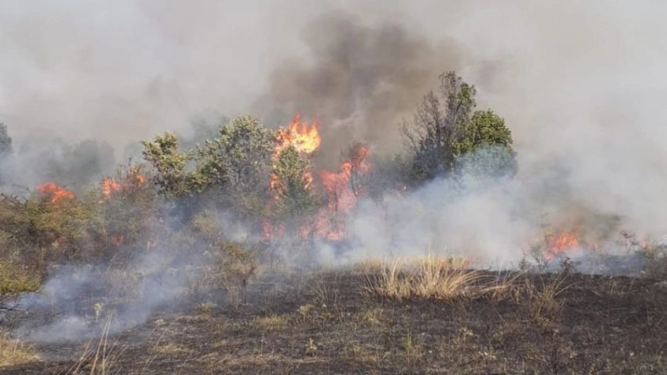 Amendă uriașă pentru un bărbat care a incendiat o zonă protejată, în Arad
