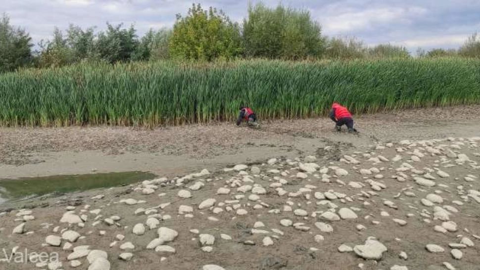 FOTO | Bărbat afundat în nămol în zona barajului Râureni din Vâlcea, salvat de pompieri și dus la spital