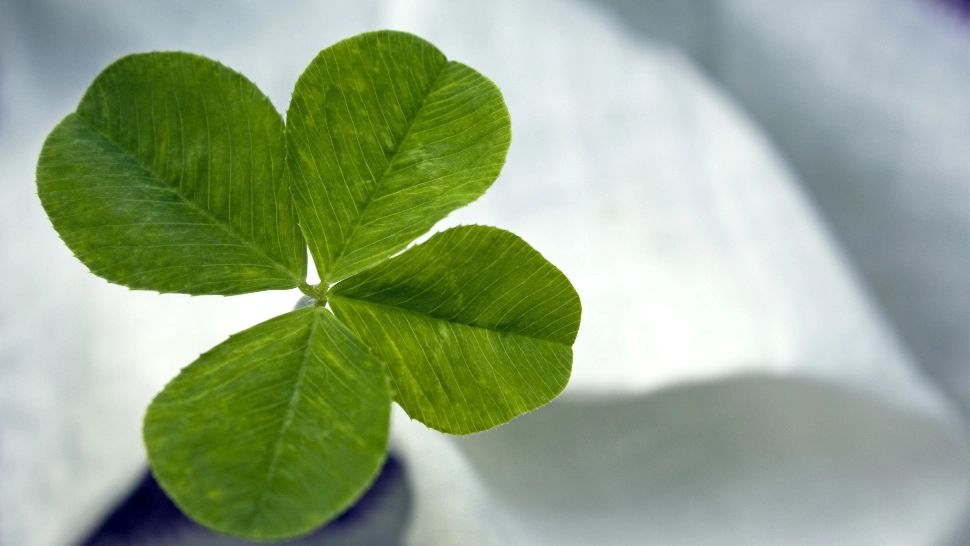 Zodii care se îmbogățesc până la sfârșitul lunii. Nimic nu le mai stă în cale