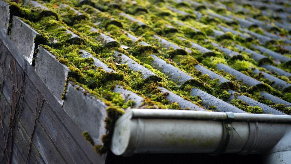 O nouă înșelătorie face VICTIME printre bătrâni: metoda BURLANUL 