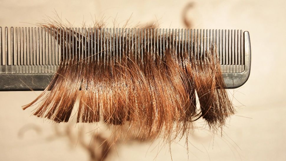 O fetiță s-a întors de la școală cu părul tuns de o profesoară. Tatăl ei cere despăgubiri de 1 milion de dolari