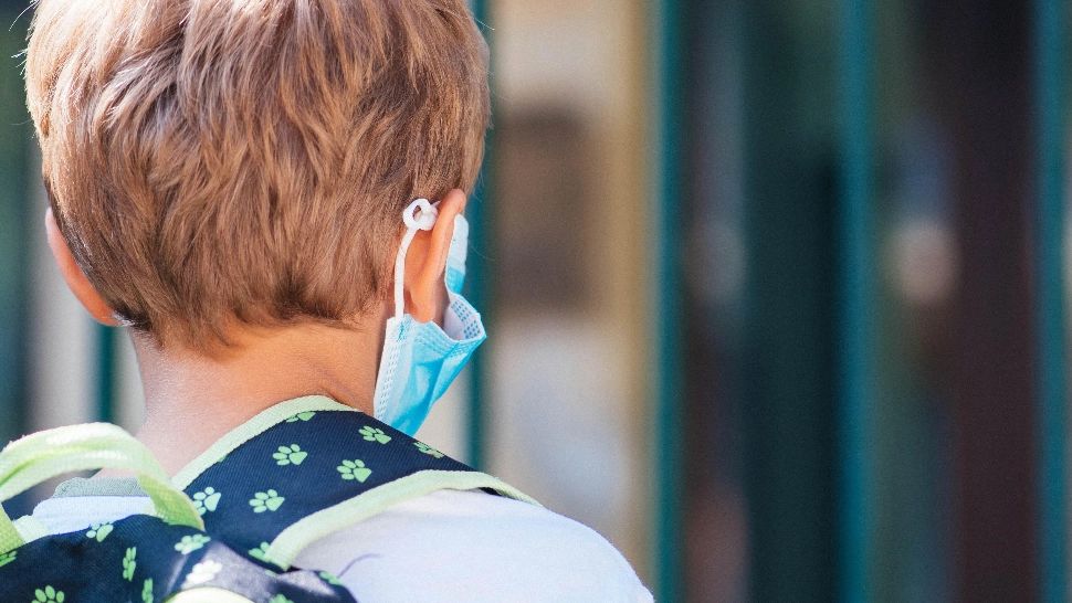 Sorin Cîmpeanu: Este posibil ca, în București, la jumătatea lunii octombrie, școlile să treacă în ONLINE 