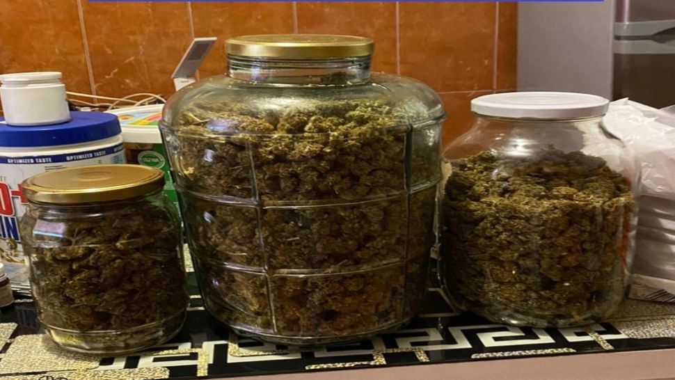 Percheziţii de amploare în Satu Mare, într-un dosar de trafic de droguri. Patru persoane au fost reţinute - FOTO