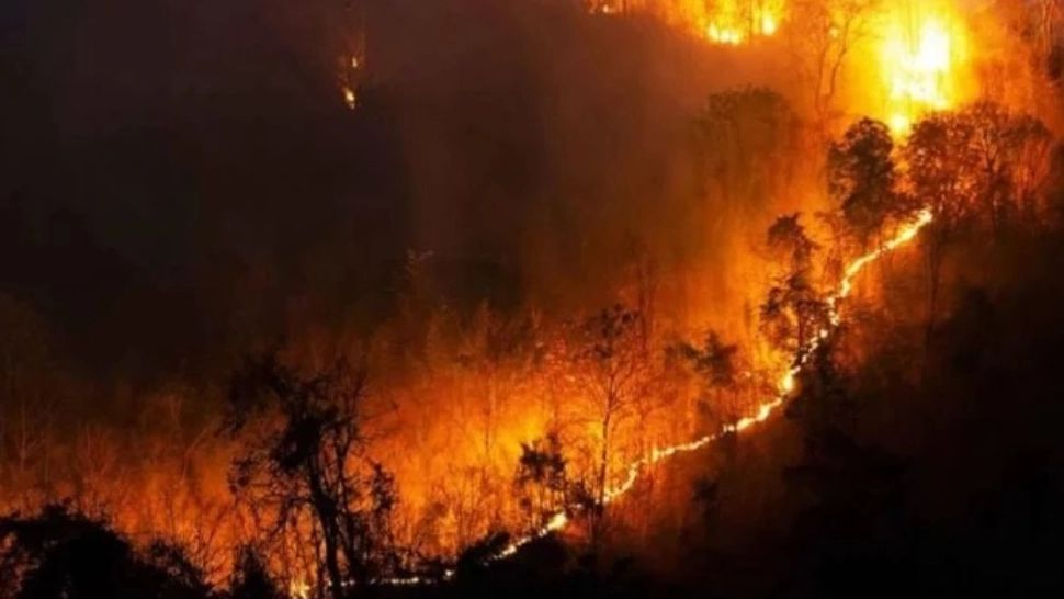 FOTO | Incendiile de vegetaţie din nordul Spaniei nu au putut fi lichidate de pompieri