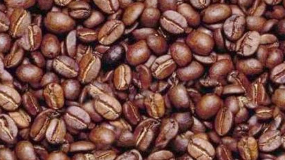 Dacă găsești chipul unui bărbat în această imagine în 3 secunde, ai un IQ peste medie. Testul oamenilor inteligenți