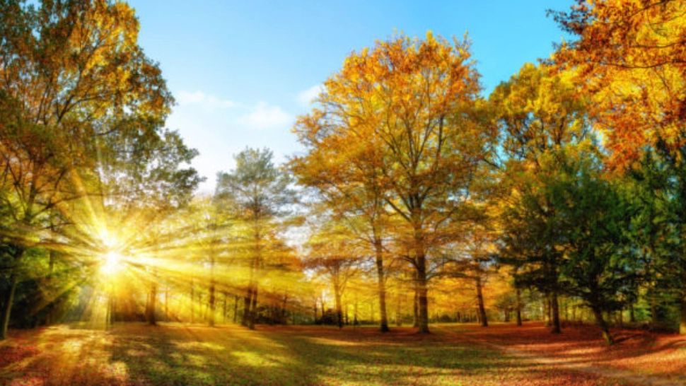 Prognoza meteo pentru următoarele 4 săptămâni - Surpriză mare: se încălzește și temperaturile vor fi mai mari decât normalul perioadei