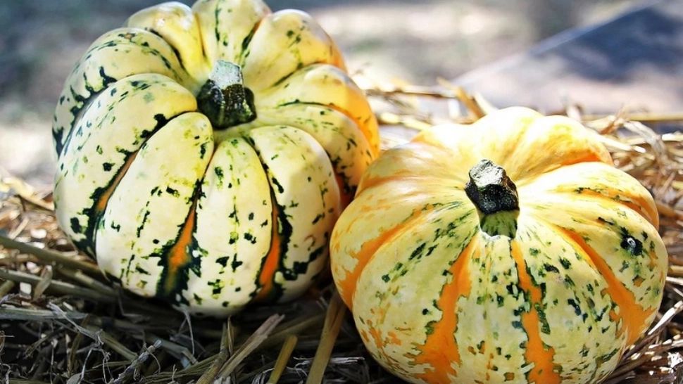 Prognoza meteo pe o lună. Când se întorc VIJELIILE? Cum va fi vremea până pe 18 octombrie