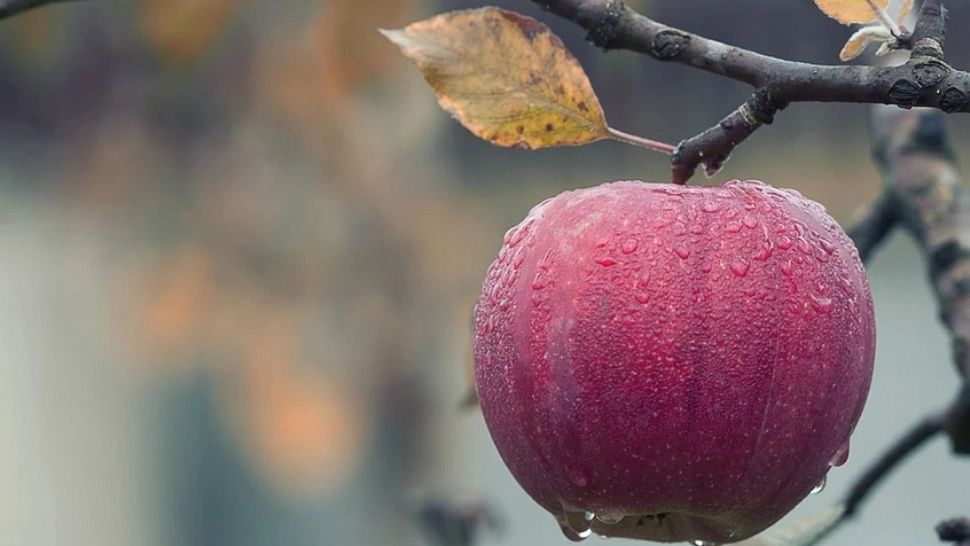 Prognoza 30 septembrie. Vreme rece, în toată țara. Maximele abia ating 21 de grade