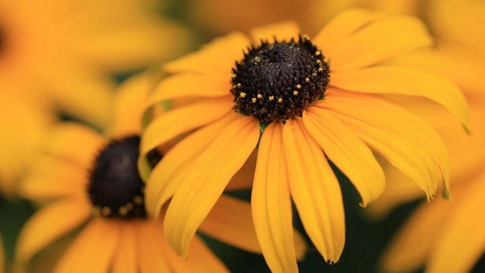 Prognoza 14 septembrie. Vreme caldă, temperaturile urcă la 32 de grade 