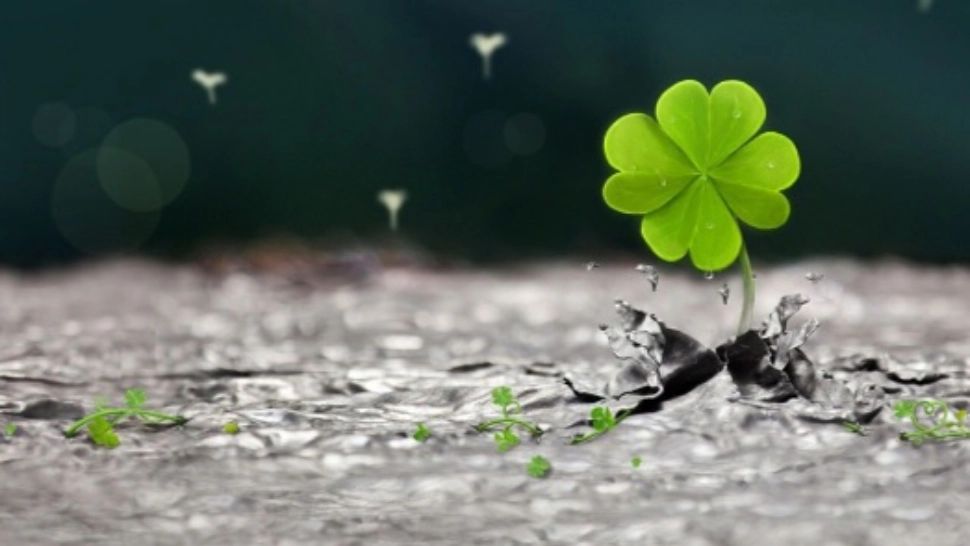 Horoscop 8 septembrie. Investiții cu șanse majore de câștig. Zodia care cunoaște un succes nesperat