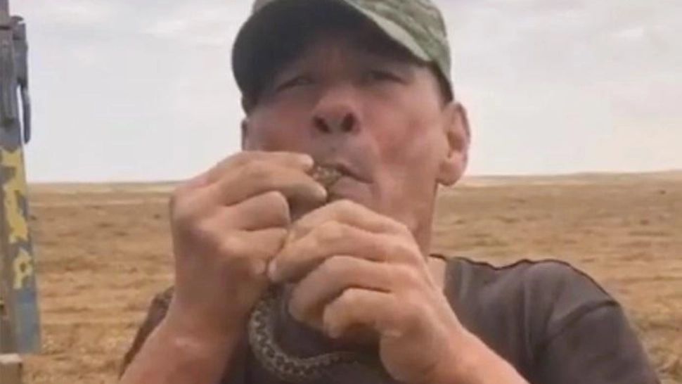 FOTO | Un bărbat din Rusia a murit după ce și-a băgat o viperă în gură și aceasta l-a mușcat de limbă