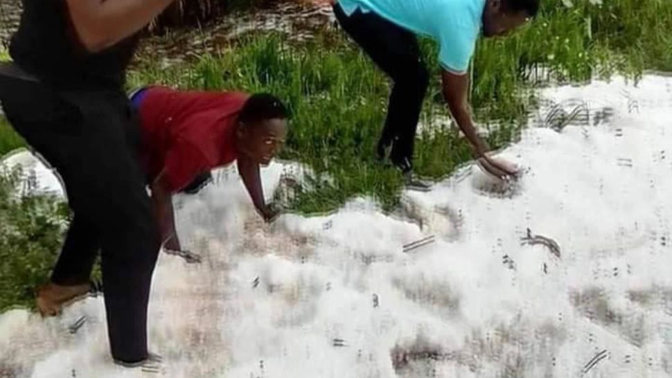 FOTO + VIDEO | Zăpadă abundentă în centrul Africii. Imagini spectaculoase cu prima bătaie cu bulgări