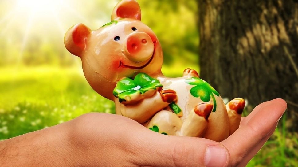 Zodiile care s-au născut pentru a câștiga bani. Horoscopul bogaților