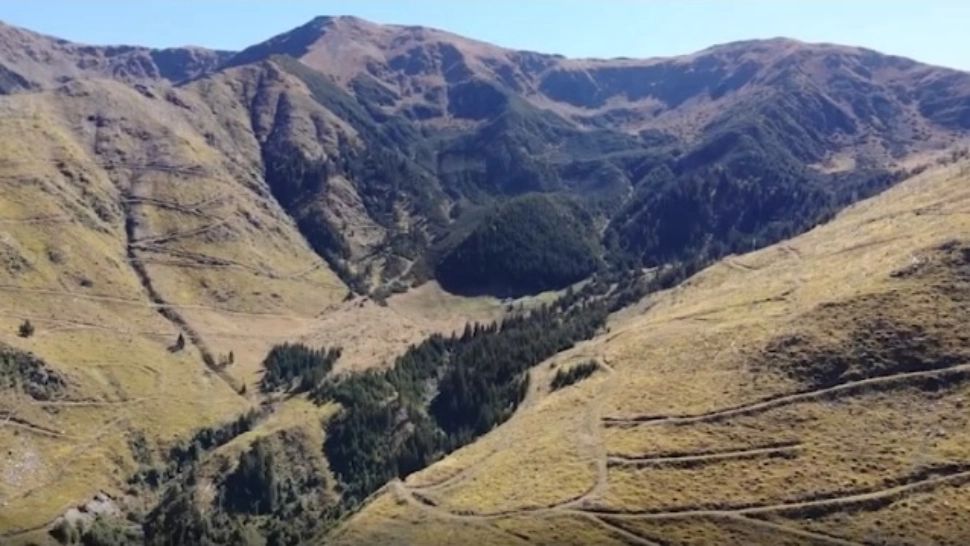 3.500 km pe bicicletă pentru pădurile din România. Gest impresionant făcut de doi germani pentru țara noastră