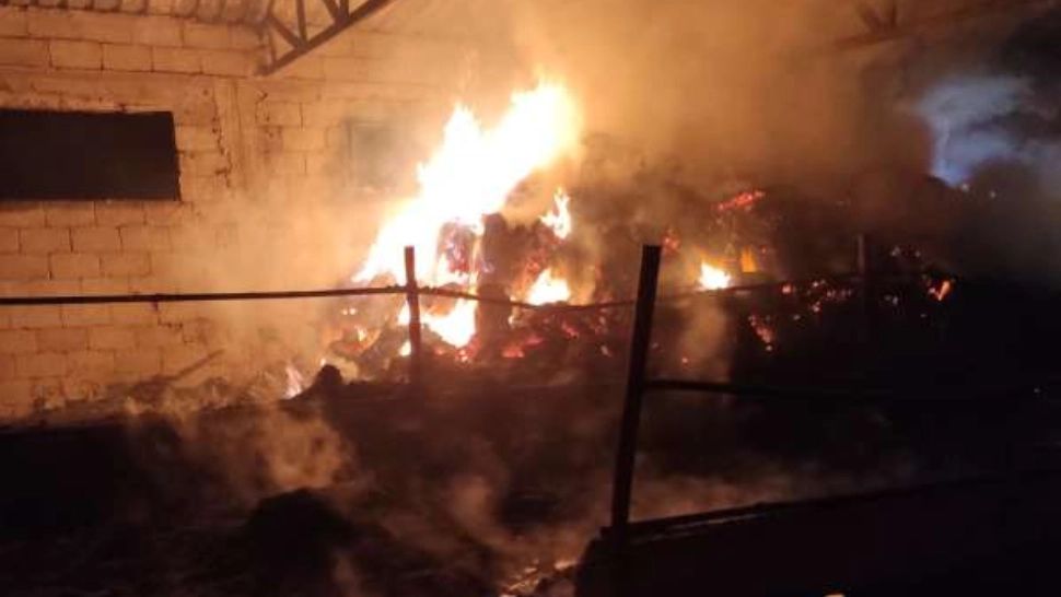 Incendiu violent în Botoşani. Un adăpost pentru animale, mistuit de flăcări