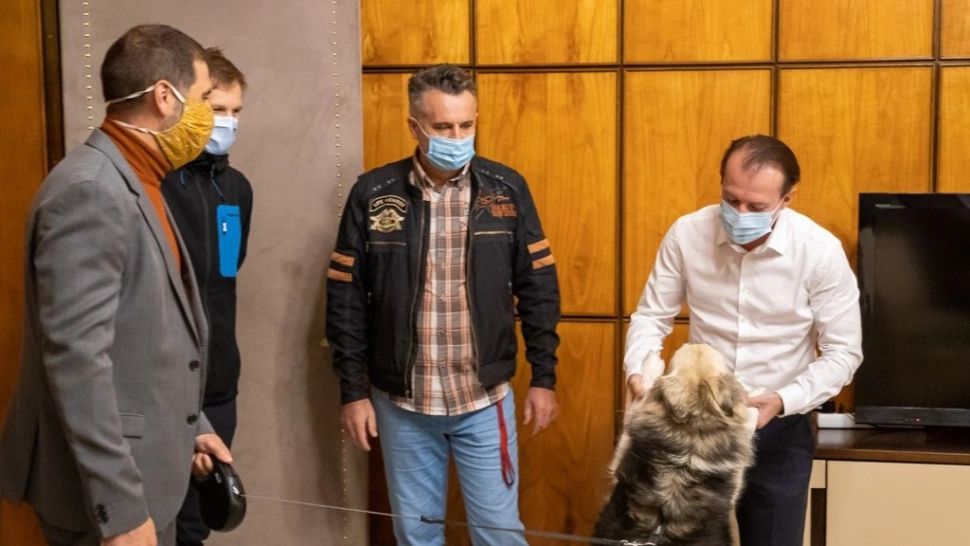 Florin Cîțu, lovit de un val de critici și comentarii ironice după un mesaj de ziua internațională a animalelor