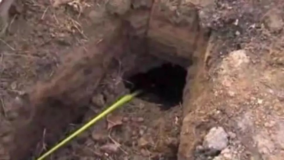 Au găsit o gaură în curtea casei. Se auzeau sunete de acolo. Au ÎNGHEŢAT când au văzut cine a ieşit