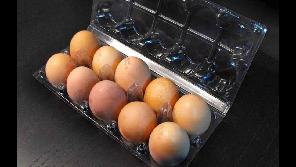 ALERTĂ alimentară în magazine: ouă RETRASE de la vânzare! Pericol imens pentru sănătate