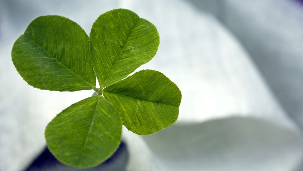 Horoscop 21 octombrie. Investiții profitabile, șanse uriașe de reușită în afaceri