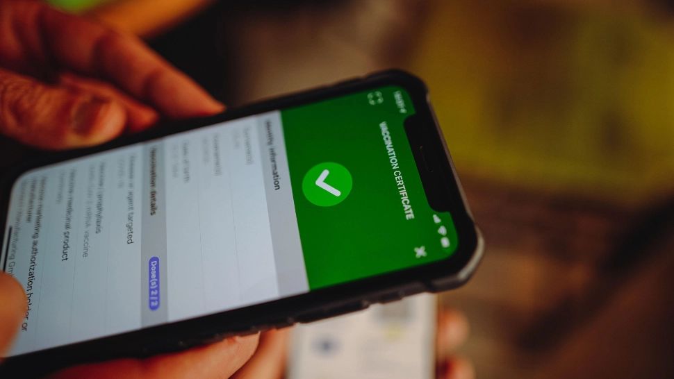 Un hacker a creat un certificat verde valid pentru o persoană cu vârsta de 121 care se numește Adolf Hitler