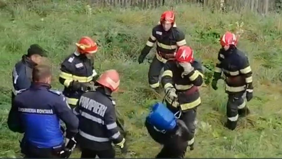 VIDEO | Un pui de urs a rămas cu capul blocat într-un butoi, în Predeal. Pompierii au intervenit 