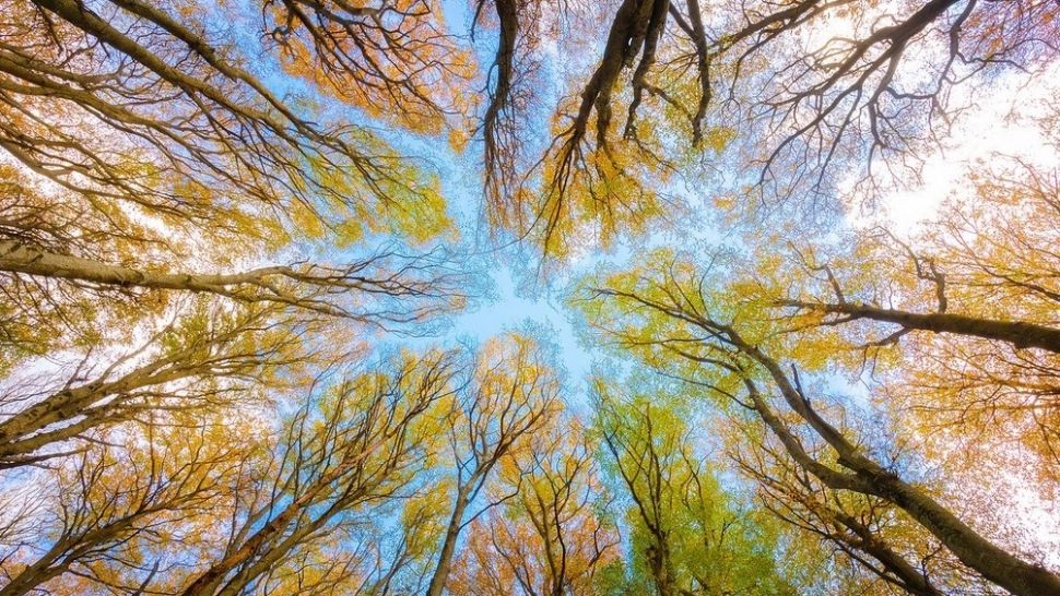 Vremea 5 ianuarie - Temperaturi deosebit de ridicate pentru această perioadă