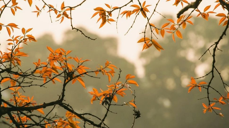 Val de frig în București - Prognoza meteo pentru următoarele 3 zile