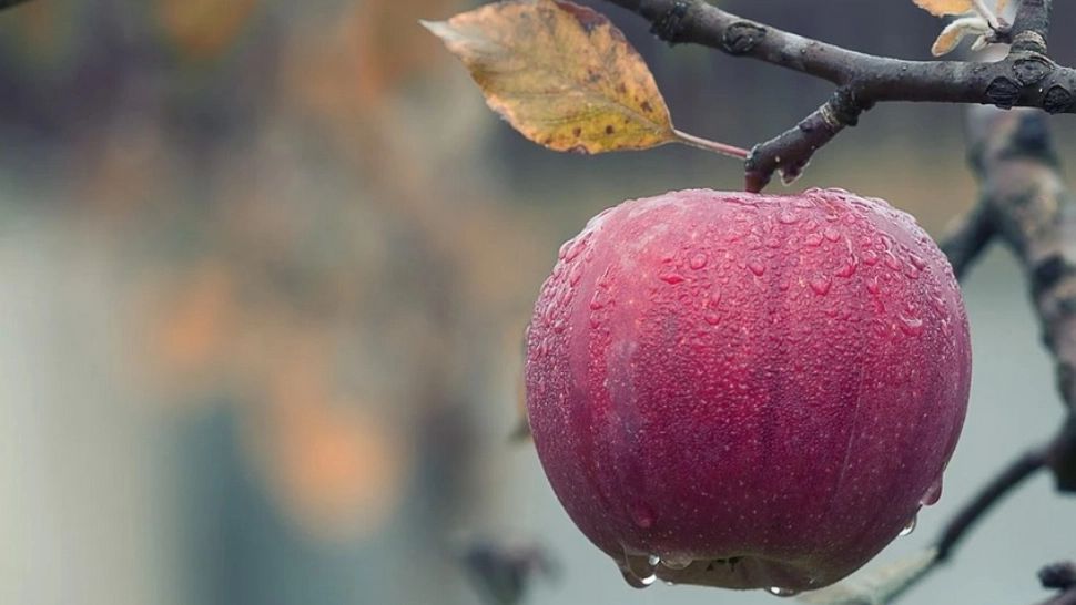 Prognoză meteo! Iarna lovește România. Cum va fi vremea în Bucureşti