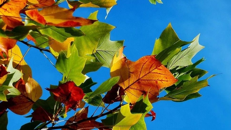 Prognoza 21 octombrie. Vreme din ce în ce mai caldă. Temperaturile urcă la 23 de grade