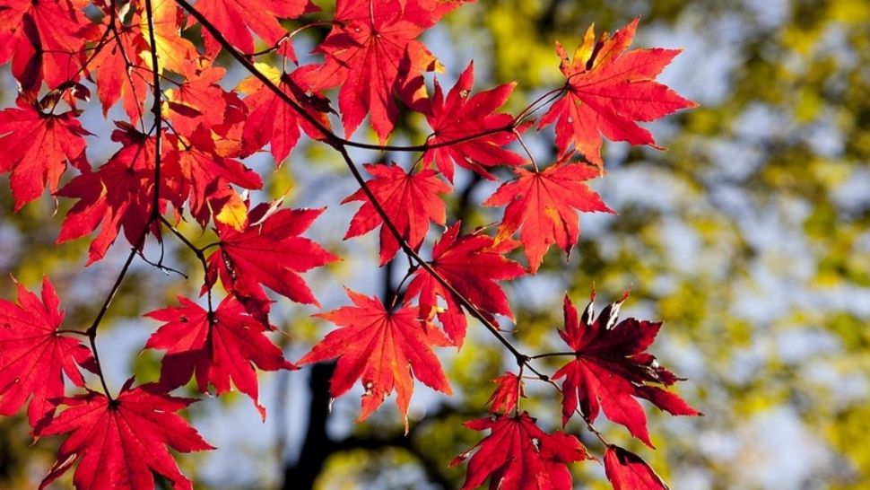 Prognoza 6 octombrie. Vreme rece, în toată țara. Maximele abia urcă la 21 de grade