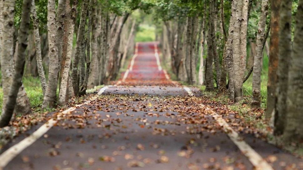 Vremea 4 octombrie - Urmează o săptămână întreagă cu frig și nori