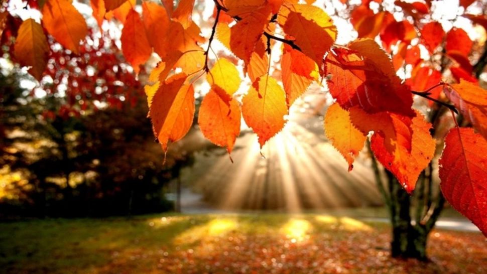 Vremea 22 noiembrie - Surprize mari de la temperaturile de pe final de noiembrie - Maximele ajung chiar și la 15 grade Celsius