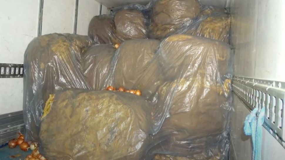 Traficanții se adaptează. Tutun neprelucrat, ascuns în ceapă. Valoarea de piață este de aproape 60.000 de lei