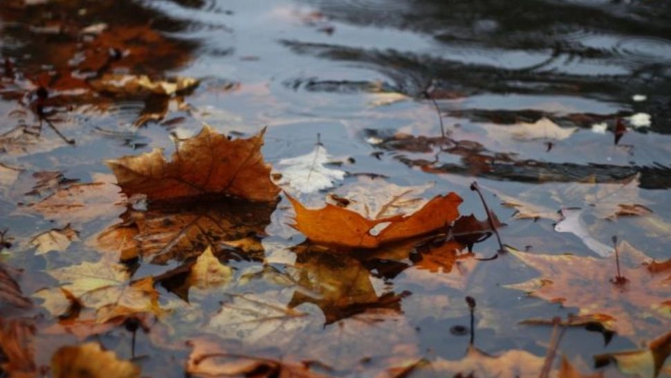 Vremea 16 noiembrie - Temperaturi din ce în ce mai scăzute - Ce maxime se vor mai înregistra