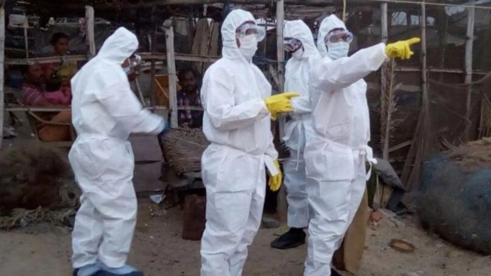 ALERTĂ! Gripa AVIARĂ din nou în România. La cine a fost depistat virusul 