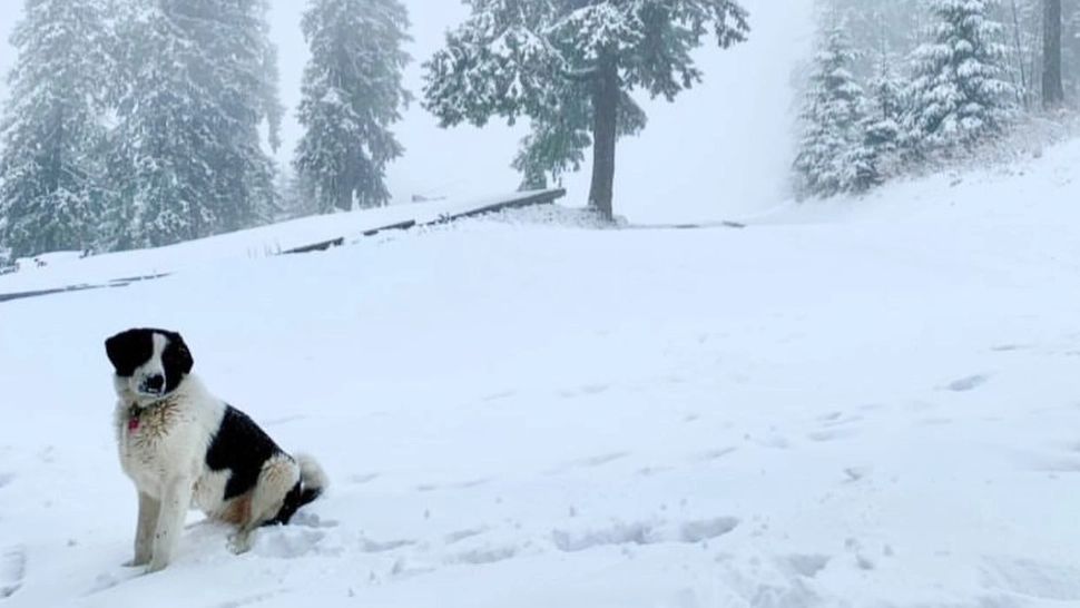 FOTO + VIDEO | PEISAJ DE POVESTE în Poiana Brașov. Prima zăpadă din acest sezon