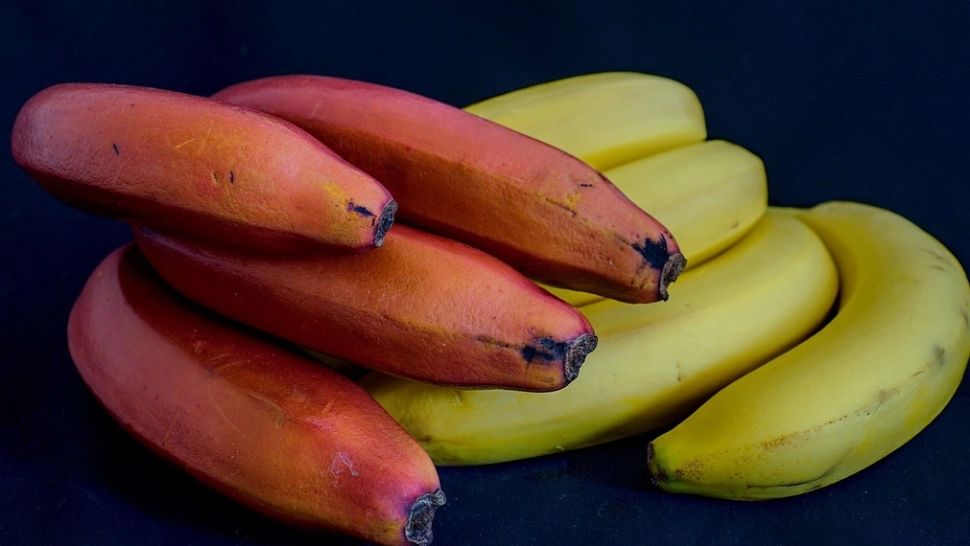 Ce sunt, de fapt, bananele roşii. Fructul bizar cu proprietăți nebănuite