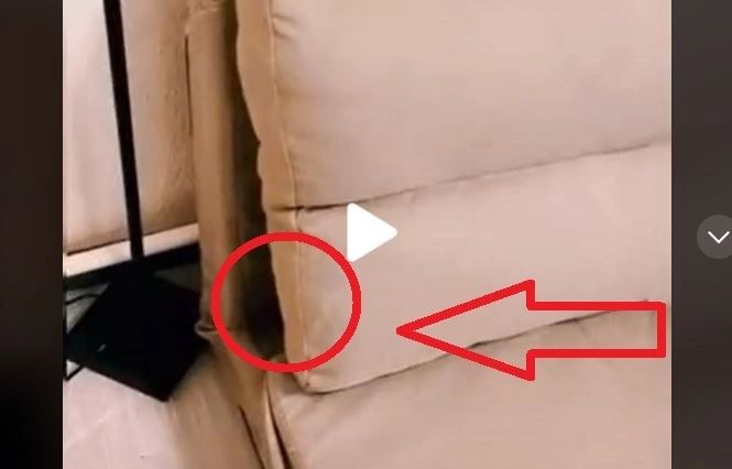 VIDEO – A auzit un zgomot ciudat din canapea. Când a dat la o parte perna, a țipat de bucurie – Ce era ascuns
