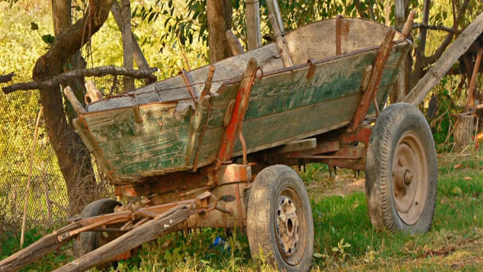 Un mort și un rănit, după ce căruța în care se aflau a intrat în șanț. Victimele, aruncate cu capul într-un copac