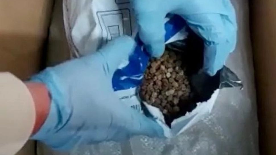 VIDEO Lovitură de amploare dată de DIICOT. O rețea care a traficat 5 tone de CHIHLIMBAR, anihilată