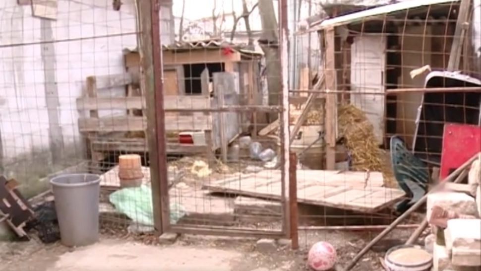VIDEO | Imagini dramatice. O familie din Buftea, la limita supraviețuirii. Singura dorință de Crăciun: să își termine casa