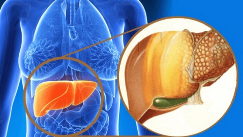 Salata ficatului. Ce trebuie să mănânci pentru regenerarea celulară rapidă
