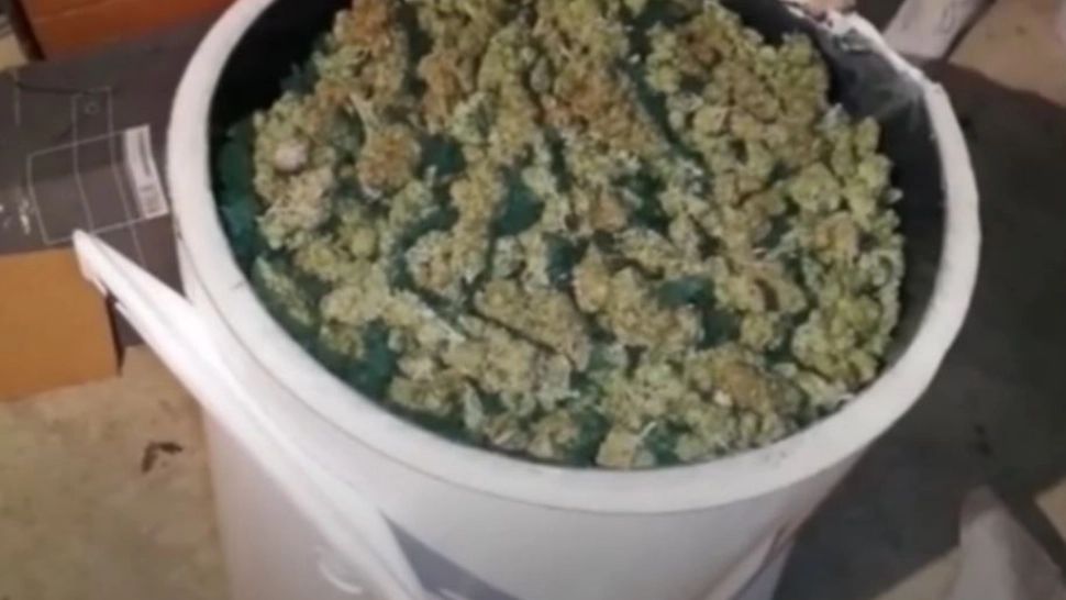 VIDEO | Găleți de droguri descoperite de ofițerii de la DIICOT 