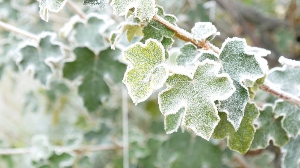 Vremea 7 ianuarie - Temperaturile scad semnificativ - Ce zone sunt vizate