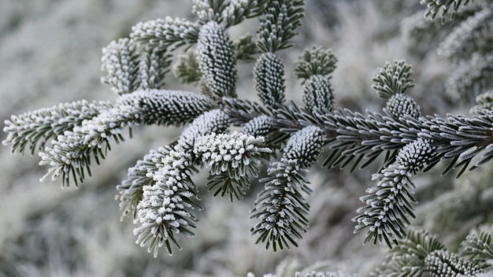 Prognoza meteo pentru Revelion. Vreme mai caldă decât în mod normal pentru această dată