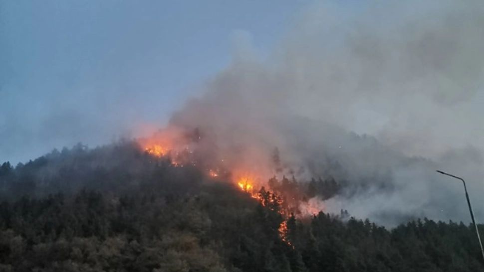 ZECI de hectare de pădure ÎN FLĂCĂRI! Pompierii luptă de 3 zile să stingă incendiul uriaș de la Oituz - FOTO&VIDEO